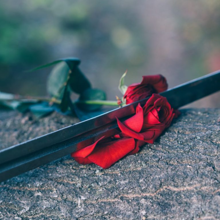 Eine rote Rose liegt auf einem Baumstamm und wird von der Schwertklinge zerschnitten.